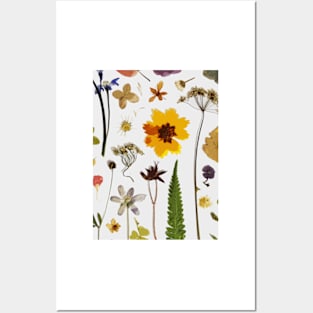 pattern pressed flowers Posters and Art